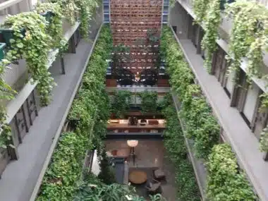 créer un jardin vertical maison